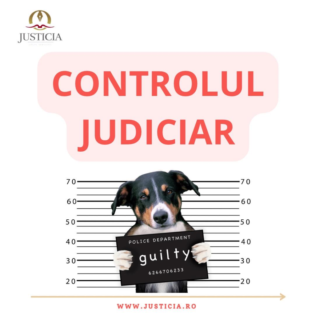 control judiciar