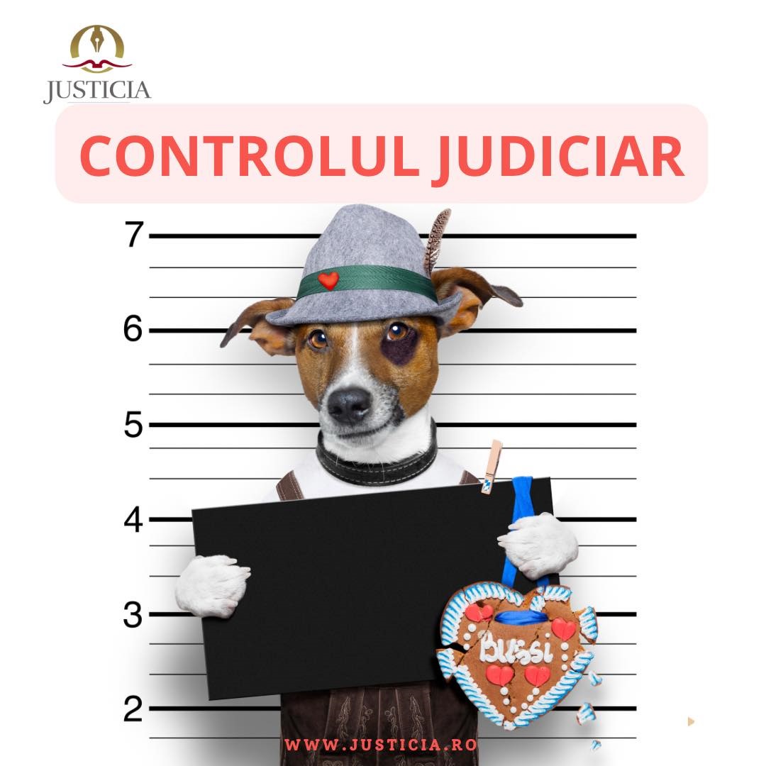 control judiciar